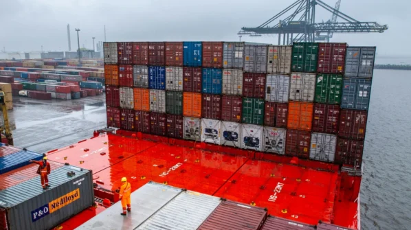 portfolio-11 portfolio-11